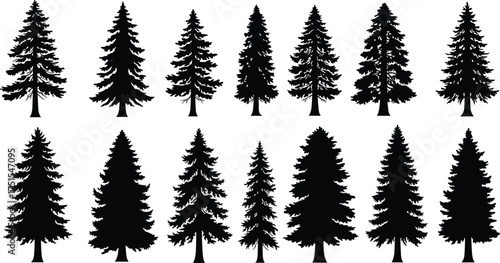 Collection of pine tree silhouettes isolated on white background, evergreen conifer forest trees, nature vector illustration for design and decoration