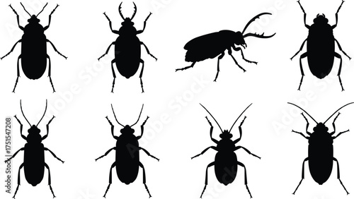 Set of beetle insect silhouettes, black bug vector collection for science illustration, nature design, pest control, and entomology study