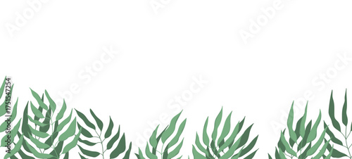 Floral web banner with drawn color exotic leaves. Nature concept design. Modern floral compositions with summer branches. Vector illustration on the theme of ecology, natura, environment.