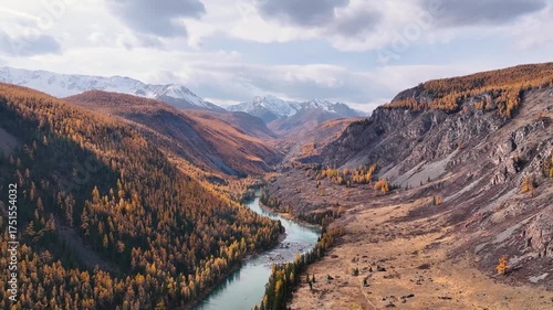 Discover the beauty of the Altai mountains during autumn, featuring vibrant valleys and flowing rivers amidst majestic alpine scenery. Experience nature tranquility and charm.