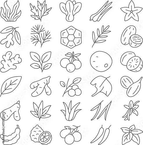An illustration of a variety of fresh, organic plants, a vibrant collection showcasing the diversity of nature's bounty. A detailed black line art creates an element of simplistic and natural beauty.