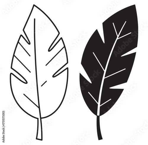 Vector illustration of two tropical palm leaves in black and white design elements