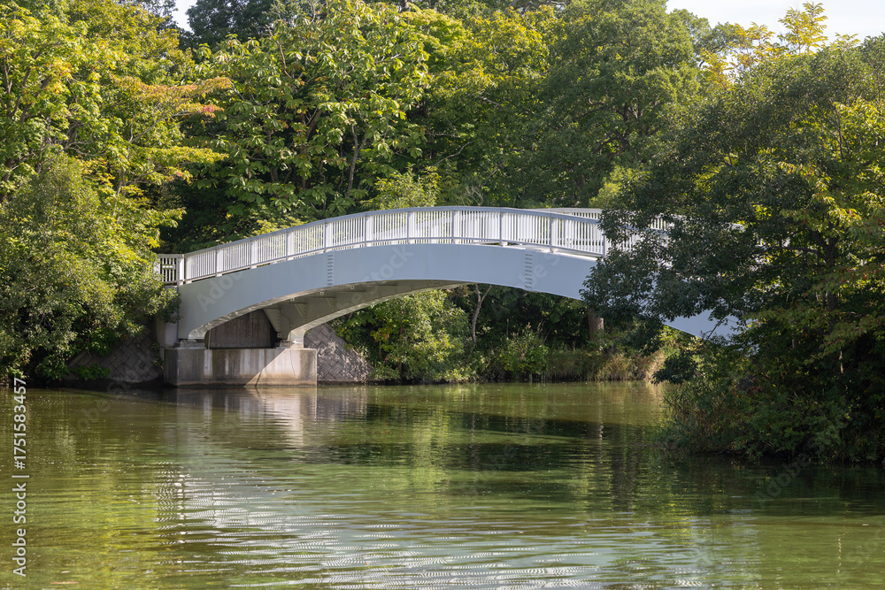 Fototapeta premium 일본 하코다테 오누마 공원 호수