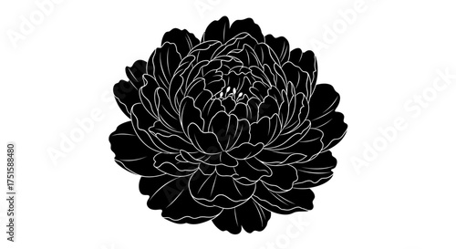 Elegant Black Peony Flower Silhouette.