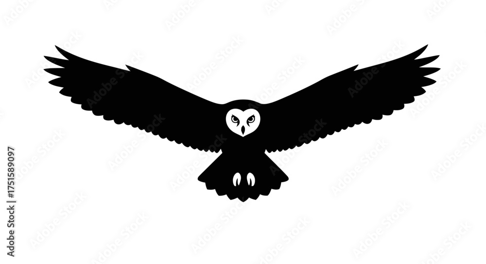 Obraz premium Silhouette of a barn owl in flight with wings spread.