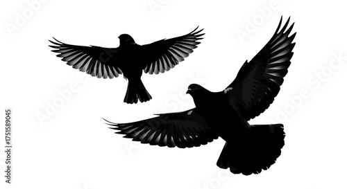 Two black bird silhouettes flying with wings spread against a white background.