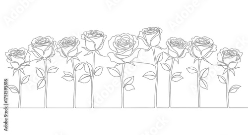 Elegant line drawing of a bouquet of roses in vases
