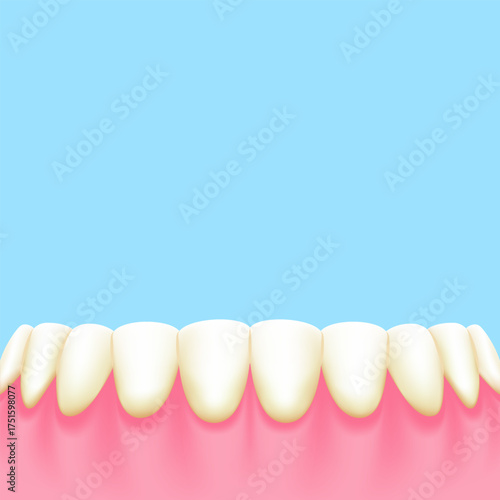 Lower teeth (Yellow) - Text box sign blank banner (square) illustration vector design. Dental care concept.