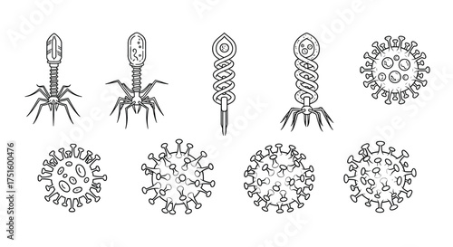 Collection of bacteriophage viruses and coronavirus particles scientific illustration