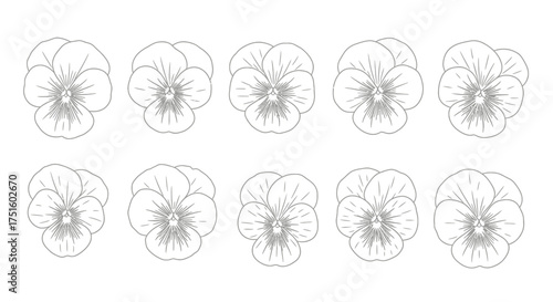 Collection of hand drawn pansy flower illustrations in black and white