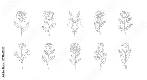 Collection of ten hand drawn botanical illustrations of flowers and plants