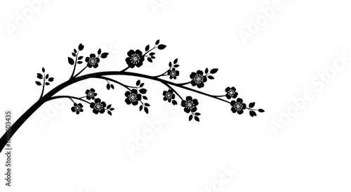 Elegant black cherry blossom branch with delicate flowers and leaves.