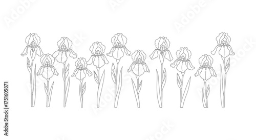Group of stylized skeletons standing together in a line