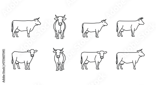 Collection of hand drawn line art illustrations of cows in various poses