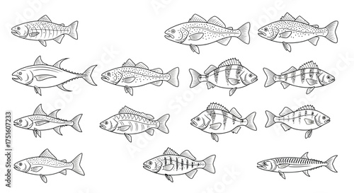 Collection of hand drawn sketch style fish illustrations in black and white