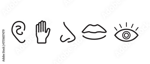 five human senses icon set. hearing, touch, smell, taste, vision sight icon set. ear, hand, nose, mouth and eye symbol set.png and vector illustration on transparent background