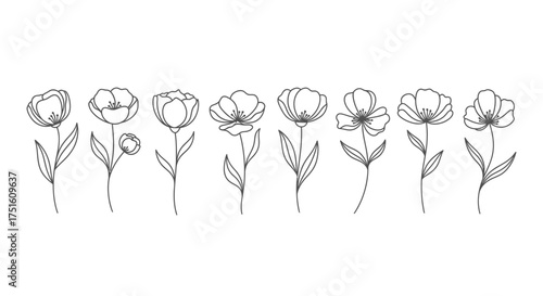 Collection of delicate hand drawn floral illustrations in black and white