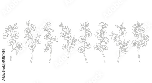 Abstract sketch of delicate floral branches and leaves in black ink on white background