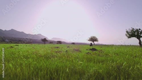 Above the Hills: Aerial Drone Footage of a Grassy Field on a Sunny Day, Arapkoy, Girne, Cyprus - 20 Jun 2024