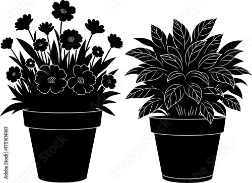 Silhouettes of two potted plants featuring delicate flowers and lush foliage vector