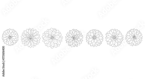 Set of dahlia flower icons isolated on white background for floral design