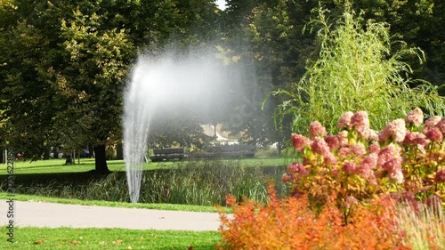 Park fountain spraying clear water near colorful autumn plants and green trees showing landscape design elements, balance of nature and urban park environment in bright daylight