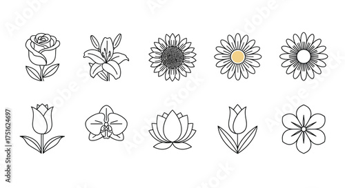 Set of flower isolated on white background in line art style drawing