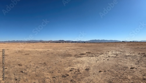Vast, arid landscape under a clear blue sky