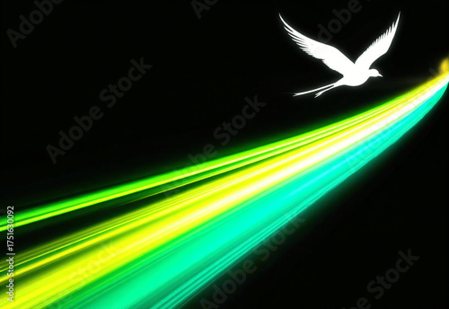 Soaring Through Light