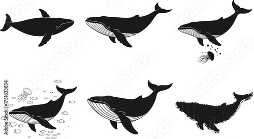 Whale silhouette vector illustration, underwater marine life, ocean swimming poses, black and white graphic art, aquatic nature concept, sea animal design