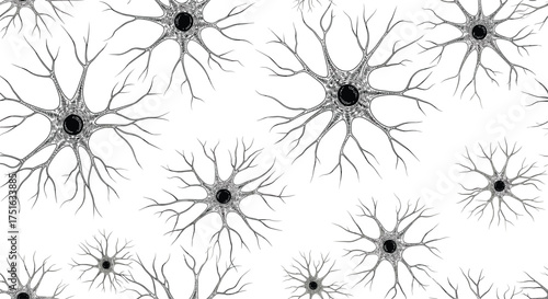 An intricate network of stellar shaped neurons and their branching dendrites observed from above.