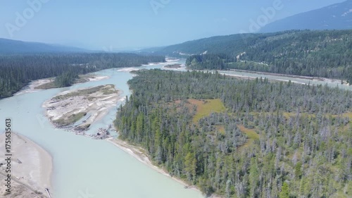 Cinematic drone footage captures the raw, untamed beauty of a remote wilderness. The camera glides high above a massive glacial river as it winds through a vast pine forest.