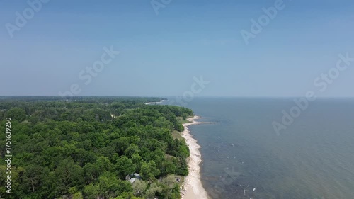 A cinematic, high-angle view of an untouched shoreline. The immense green forest borders the calm sea, creating a perfect, scenic background for travel or nature-themed projects.