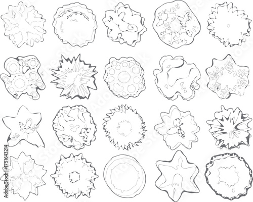 Tree top view line art illustration set, CAD Drawings. Set tree outlines isolated on white background