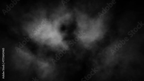 Dark horror 2D animation for Halloween. Creepy atmosphere, monster, haunted place, ghostly light, camera shake. For scary scene, dark intro and spooky edits. Vj loops. Black and white background.