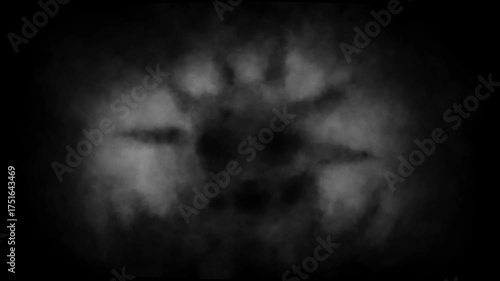 Dark horror 2D animation for Halloween. Creepy atmosphere, monster, haunted place, ghostly light, camera shake. For scary scene, dark intro and spooky edits. Vj loops. Black and white background.