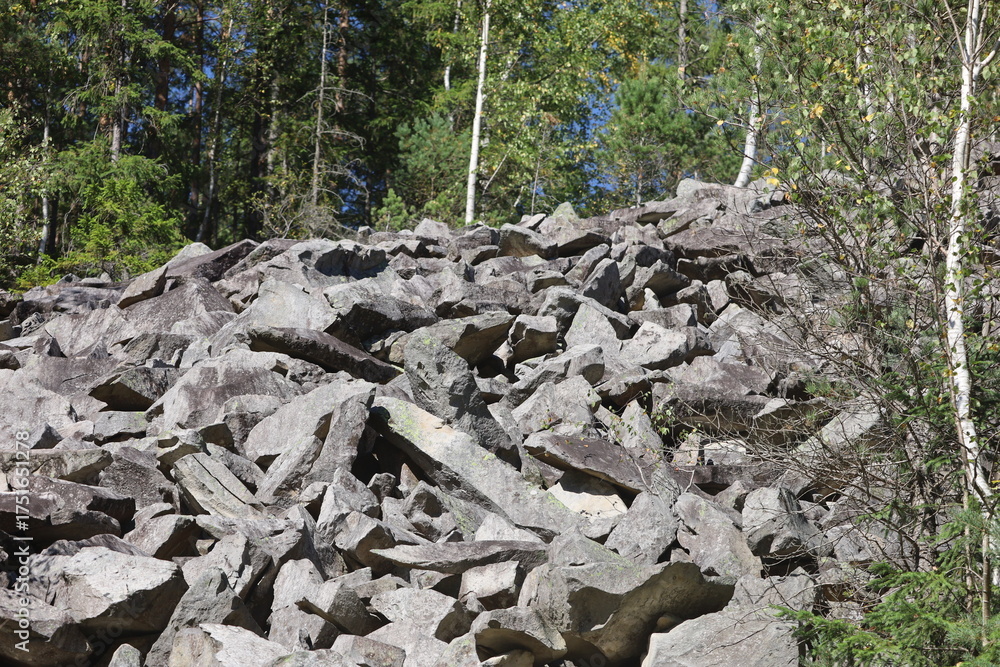 Obraz premium Rocky slope with conifer forest in background