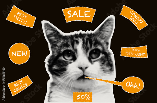 A paper cat surrounded by big discounts. Modern advertising in the form of a collage, cutout notes, stickers, decals with bonus offers, special sales. Low interest rates, new prices. Halftone vector.