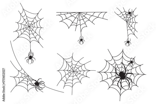 Spider web shillouette decoration