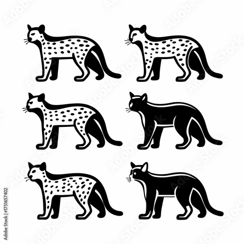 Collection of six leopard icons in black and white in cartoon style