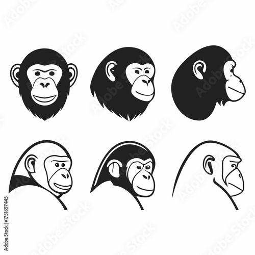 Different chimpanzee head vector illustrations in various angles and styles