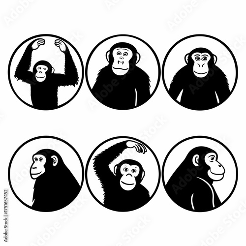 Various chimpanzee vector illustrations inside circle in different poses and styles
