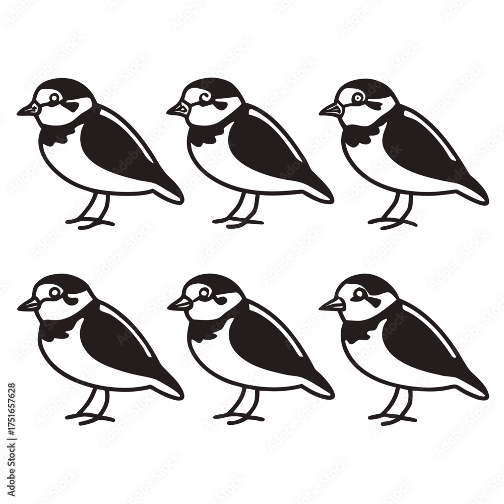 Naklejka premium Six cute plovers, a simple black and white drawing of a charming bird group