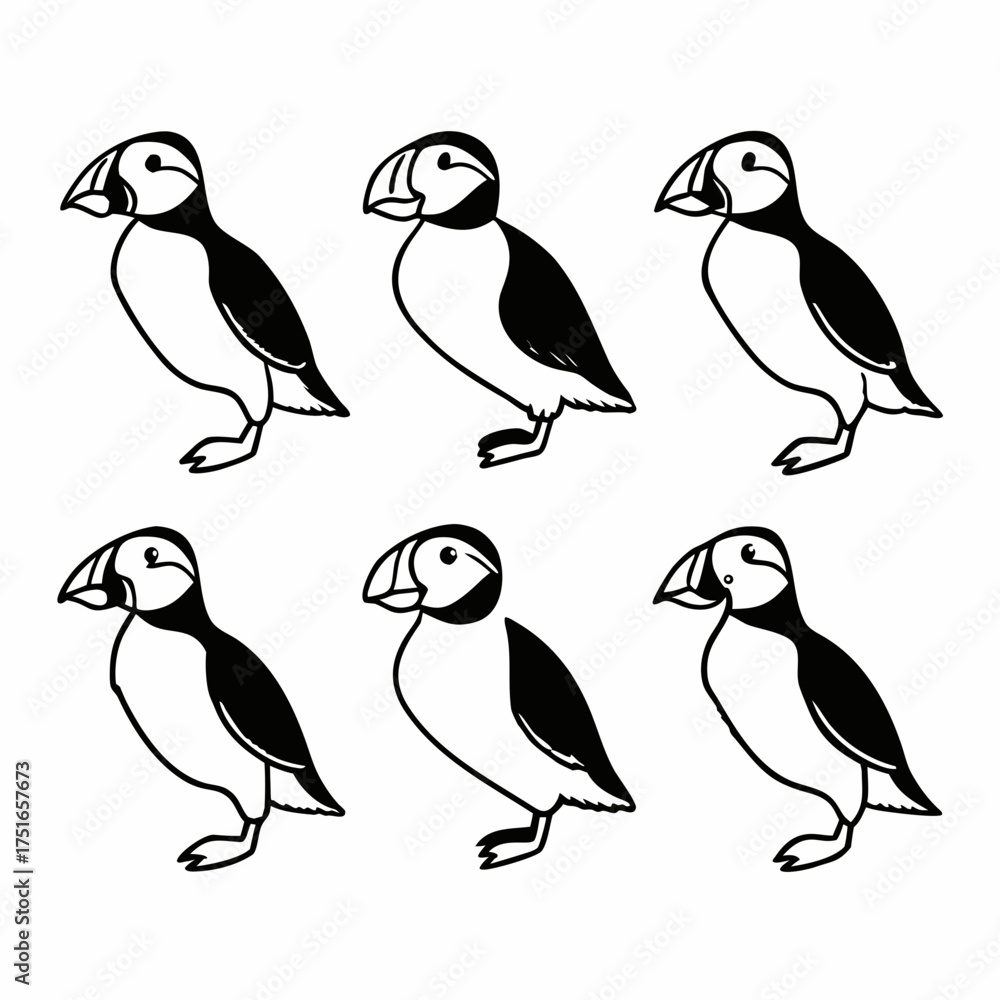 Fototapeta premium Six cute puffins black and white vector illustration of seabirds in different poses