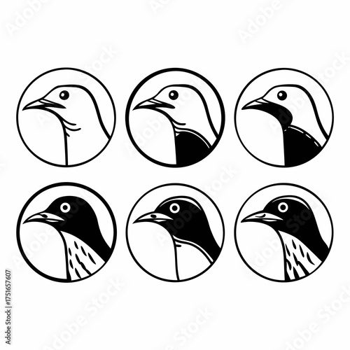 Six puffin birds in a circle puffin vector illustration set