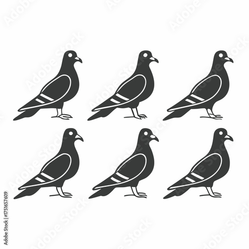 Six pigeon birds pigeon vector illustration set