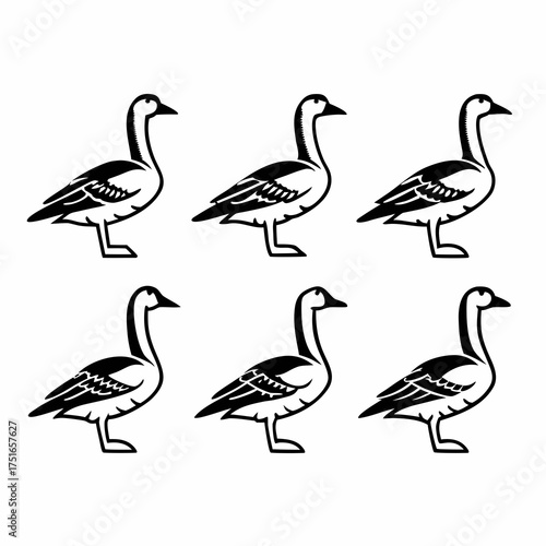 Set of six goose illustrations, featuring different design variations