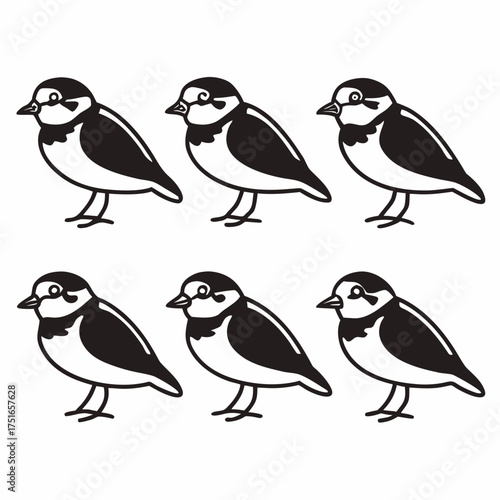 Six cute plovers, a simple black and white drawing of a charming bird group