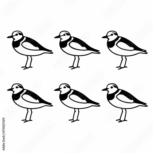 Six cute plovers, a simple black and white drawing of a charming bird group