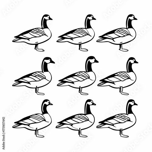 Nine canada geese, a charming flock of birds in a simple black and white drawing